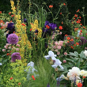 Meet your Posher, Élodie